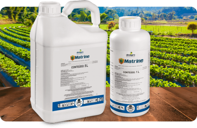 Matrine – Dinagro